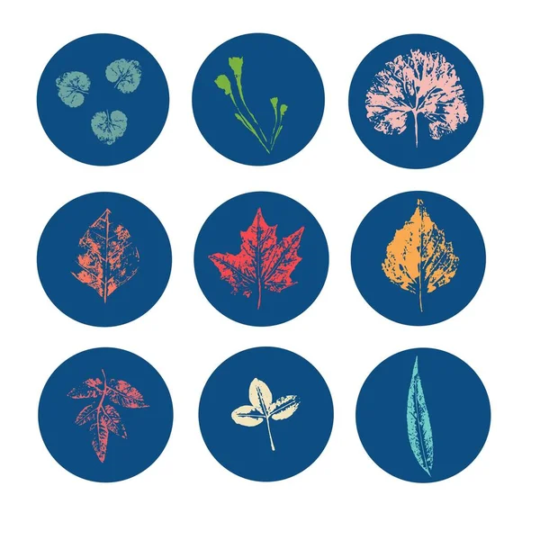 Набір Круглих Синіх Іконок Різними Осінніми Листками Дизайну Соціальних Мережах — стокове фото