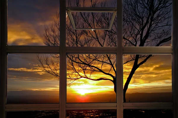 Open window with sun beams thorough branches of tree