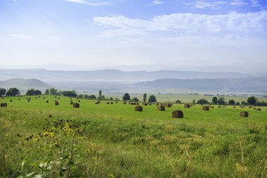 Samanlık Kuzey Kafkasya, Rusya ile alanlar