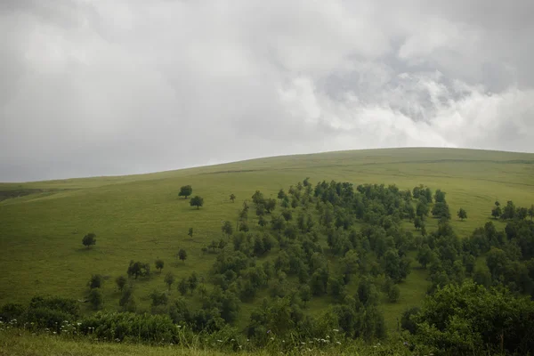 Cerro verde con muchos árboles y un cielo nublado (Cáucaso Norte, Rusia ) — Foto de Stock