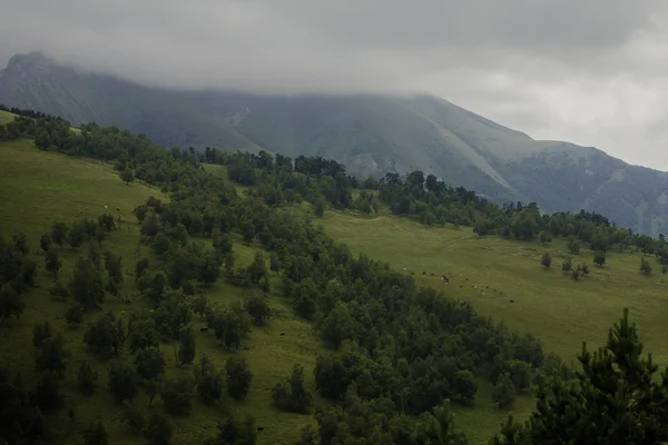 Szóló, a hegyi és a zöld hegy elöl (észak-kaukázusi, oroszországi felhő) — Stock Fotó