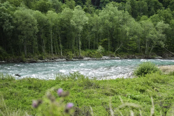 Bolshoi Zelenchuk río de montaña — Foto de Stock