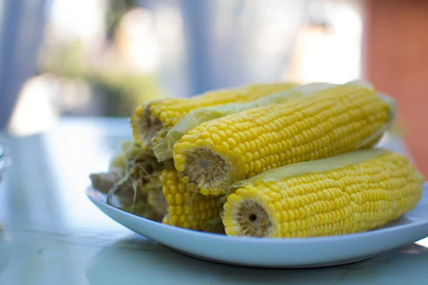 Gotowana kukurydza na talerzu — Zdjęcie stockowe