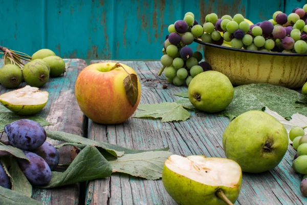 Ekologiska lokala bondens frukter — Stockfoto