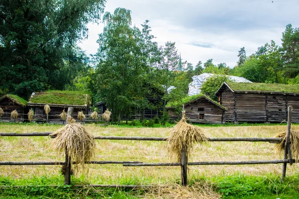 stock image Landscape with wooden building