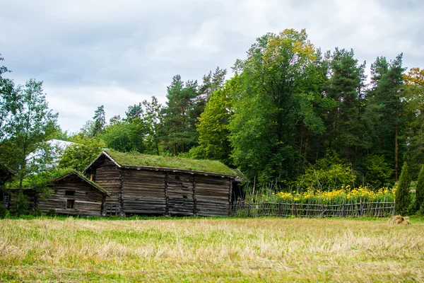 Paesaggio con edificio in legno — Foto Stock