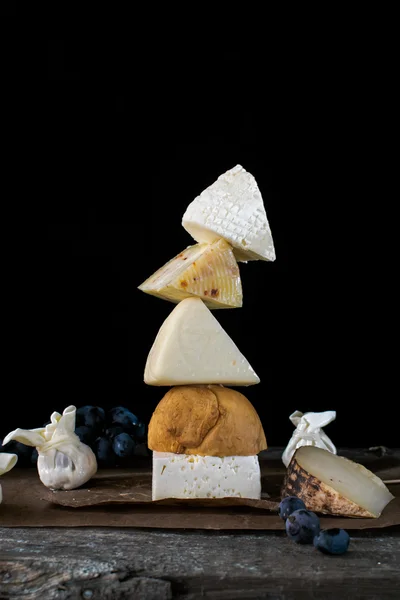 Siyah arka plan üzerine farklı peynir Kulesi (Rus peynir) yelpazesi