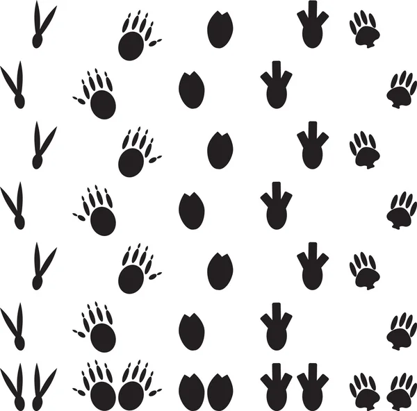 Animal foot print set illustration — Stock Vector