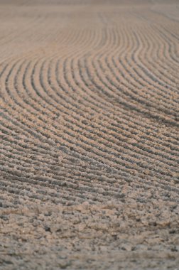 İlkbaharda yeni sürülmüş bir tarlada sıra diziliş deseni