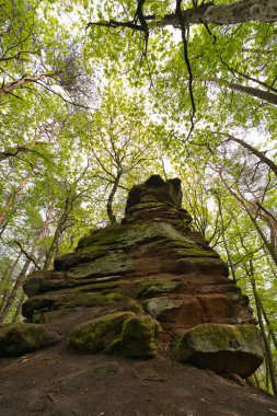 Geiersteine turunda kırmızı kumtaşı kayaları Mayıs, Almanya 'da küçük bir köy olan lug' a yakın, rineland-palatinate
