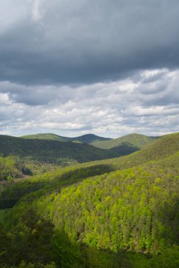İlkbaharda, Almanya 'da Palatinate Ormanı' nın üzerindeki geiersteine yakınlarında güzel bir manzara.
