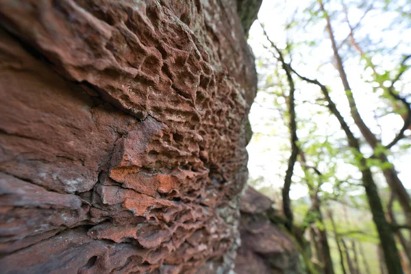 Rocas Arenisca Roja Recorrido Geiersteine Cerca Del Pequeño Pueblo Lug —  Fotos de Stock