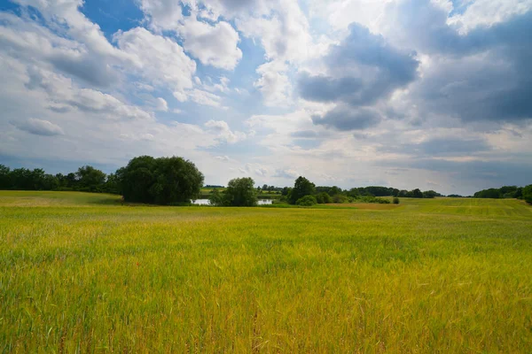 Campo Idílico Con Lago Fondo Verano — Foto de Stock