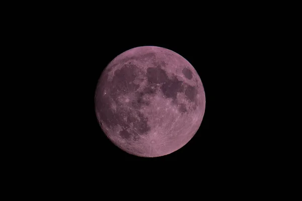 Uma Lua Cheia Super Rosa Verão — Fotografia de Stock