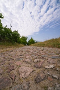 Almanya 'da cennet gibi bir arazide çok eski bir kaldırım taşı yolu.