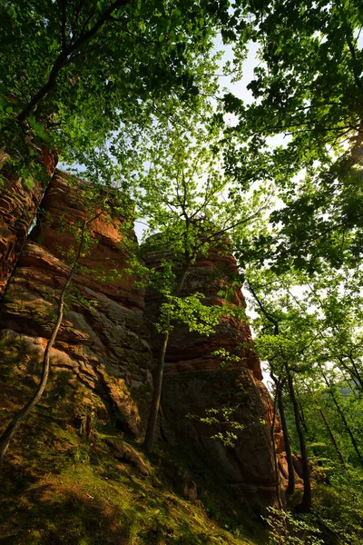 Камни Dahn Rockland Германия Лето 2021 Года — стоковое фото