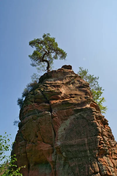 Rocas Dahn Rockland Alemania Verano 2021 —  Fotos de Stock