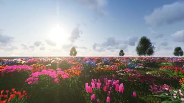 Champ de fleurs 