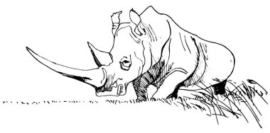 Beyaz arka planda izole edilmiş güzel Afrika gergedanı taklit siyah mürekkebin vektör el yazısıyla çizimi. Dövme, illüstrasyon, tişört baskısı, kartpostal, reklam olarak kullanılabilir..