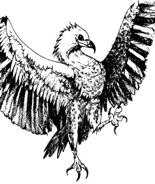 Beyaz arka planda izole edilmiş siyah mürekkebin güzel gururlu kartal taklidinin vektör el yazısıyla çizimi. Dövme, illüstrasyon, tişört baskısı, kartpostal, reklam olarak kullanılabilir..