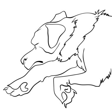 Beyaz arka planda izole edilmiş, barışçıl ve şirin uyuyan Rottweiler köpeğinin vektör lineer çizimi. Hayvanlar, evcil hayvan dükkanları, yiyecekler, köpek yatakları ve basım ürünleri reklamlarında kullanılabilir..