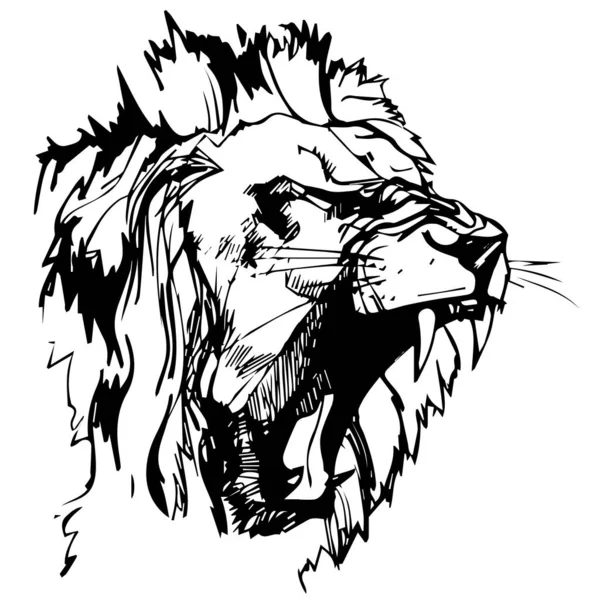 Desenho Preto Branco Realista Vetorial Uma Cabeça Leão Rugindo Isolada —  Vetores de Stock