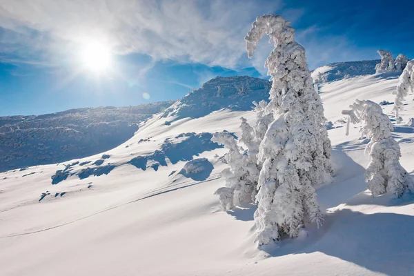 Dağları'nın güneşli kış manzarası