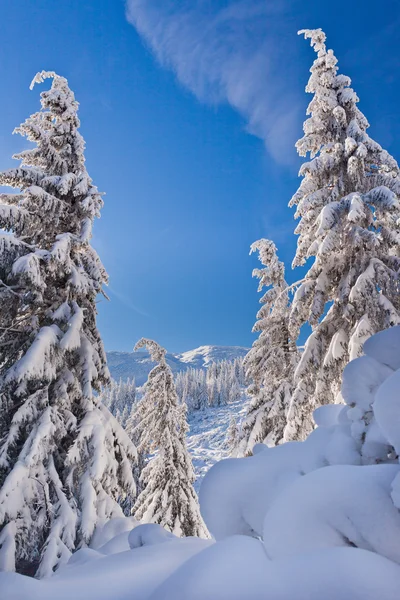 Karlı ağaçlar ve dağlar