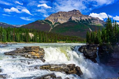 Athabasca Şelalesinin Gücüne Tanık Olmak