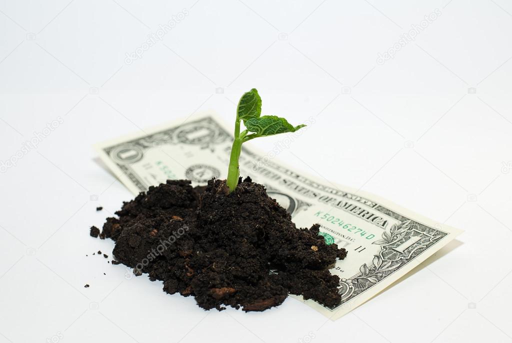 Green sprout grown from a pile of soil on the banknote