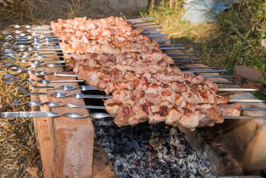 Piknik kömüre üzerinde kızarmış et