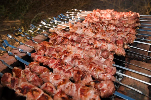 A carne frita-se no carvão vegetal em um piquenique — Fotografia de Stock