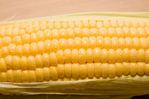 De vrucht van een rijpe maïs in grote — Stockfoto