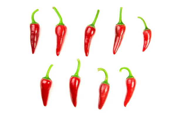 Banyak paprika Chilli merah matang di atas putih — Stok Foto