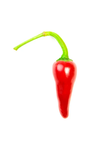 En mogen röd chili paprika på vit — Stockfoto