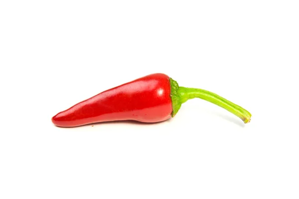 Een rijpe rode Chilli pepers op wit — Stockfoto