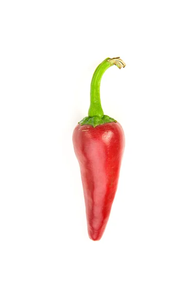 Jeden czerwony dojrzałe Chilli peppers na białym — Zdjęcie stockowe