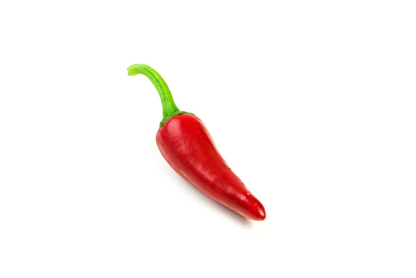 Eine reife rote Chilischote auf weiß — Stockfoto