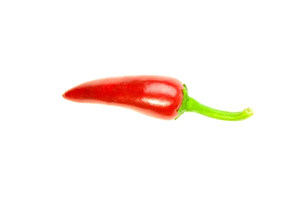 Un peperoncino rosso maturo su bianco — Foto Stock