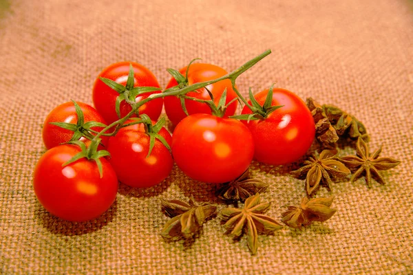 Red Cherry tomats en steranijs vruchten op oude doek — Stockfoto