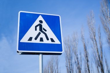 Yol işaret gökyüzüne karşı kutup