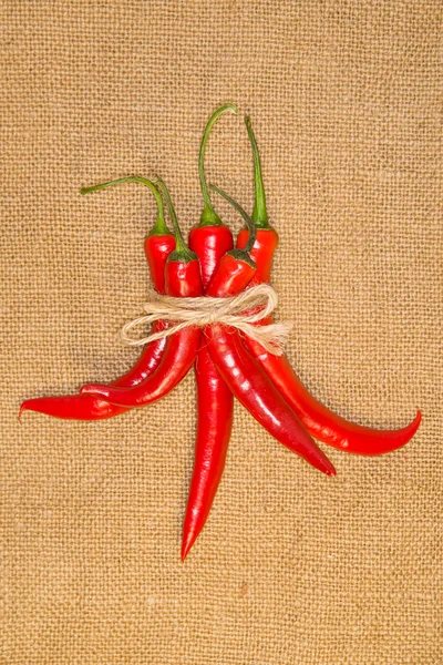 Związany z liny na stary szmatką papryki chilli — Zdjęcie stockowe