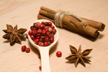 Biber, tarçın ve star anis taneleri karışımı kaşıkla