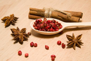 Biber, tarçın ve star anis taneleri karışımı kaşıkla