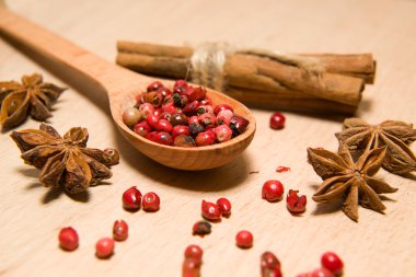 Biber, tarçın ve star anis taneleri karışımı kaşıkla