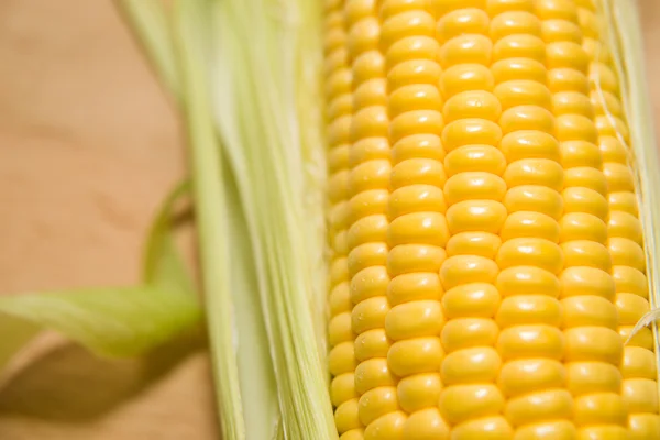 Een oor van maïs rijp op een oude doek — Stockfoto