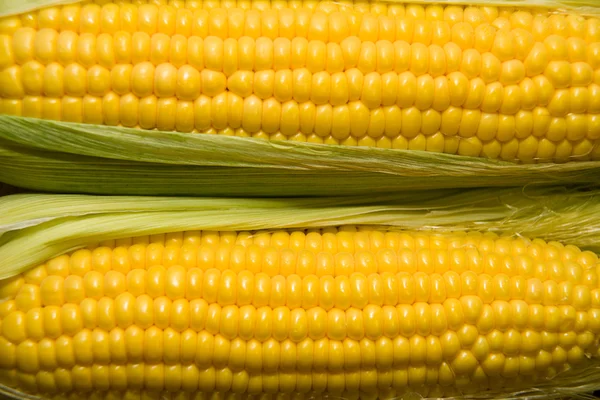 Több fül kukorica a régi szövetek — Stock Fotó