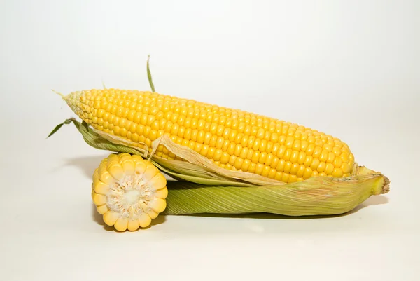 Több fül kukorica felett fehér — Stock Fotó