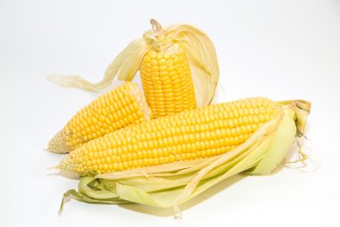 Üzerinde Mısır beyaz üzerinde birkaç kulaklar