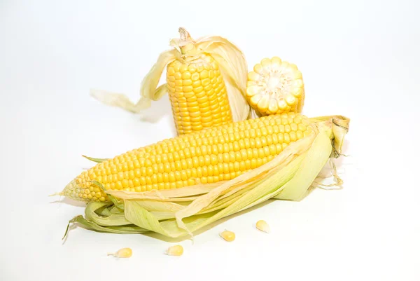 Várias espigas de milho sobre branco — Fotografia de Stock